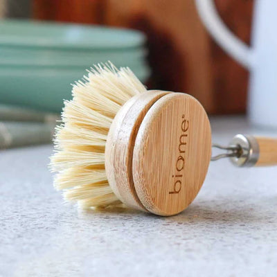 Cleaning Brushes Sponges