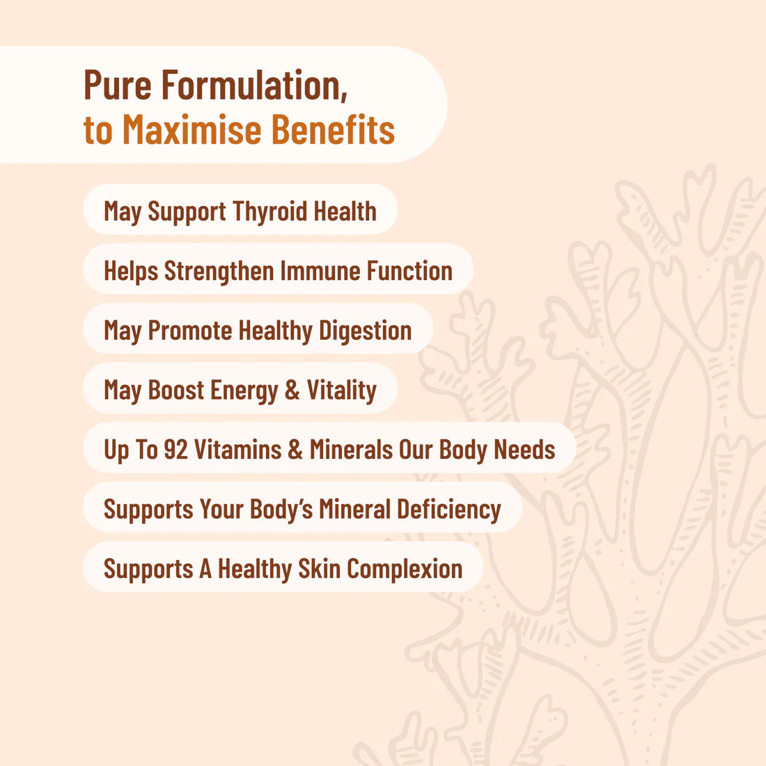 Evolution Botanicals Organic Sea Moss 120 Caps