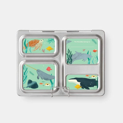 Buy Planetbox Launch Magnet Sets – Biome New Zealand Online