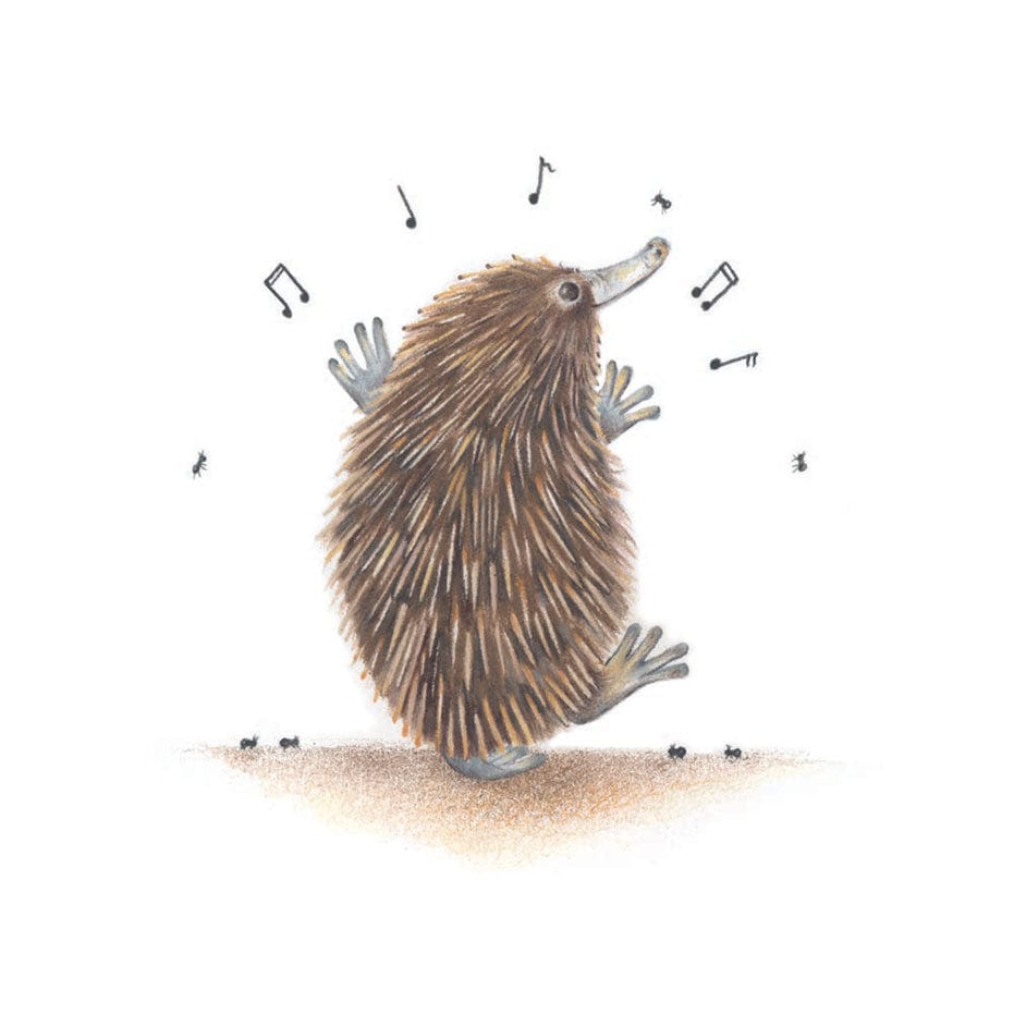 Popcorn Blue Dancing Echidna Greeting Card