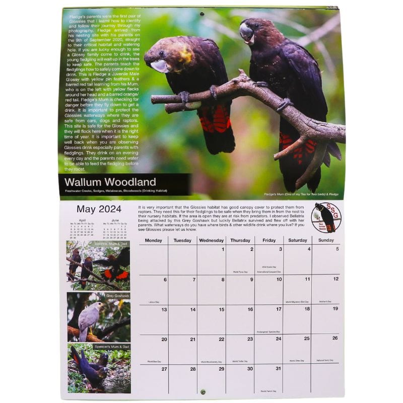 Save Sunrise Glossies 2024 Calendar