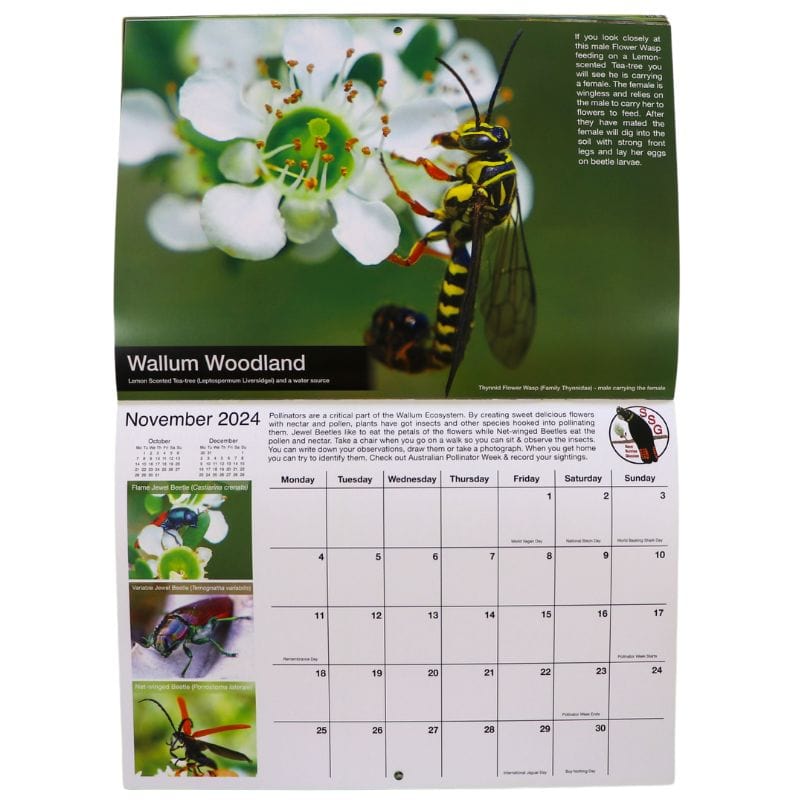 Save Sunrise Glossies 2024 Calendar