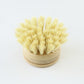 Biome Dish Brush Replacement Head