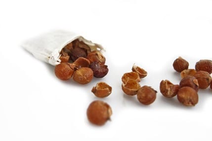Organic Soap Berries (Soap Nuts) Natural Laundry Detergent 1kg