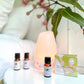 Perfect Potion Essential Oil Blends Bedroom TRIO Snooze & Snuggle