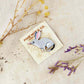 Pixie Nut and Co Bilby Brooch