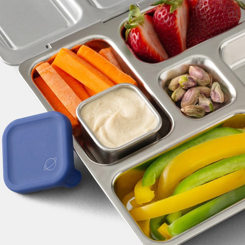 Planetbox Rover Buy Planetbox ROVER Stainless Steel Lunchbox + Two Dippers – Biome New ...