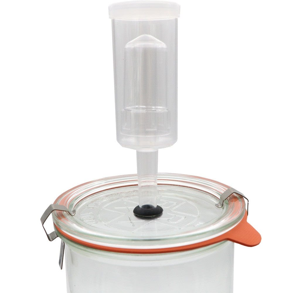 Rex Glass Fermenting Jar 1.5L