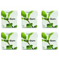 True Gum Biodegradable Gum - Mint