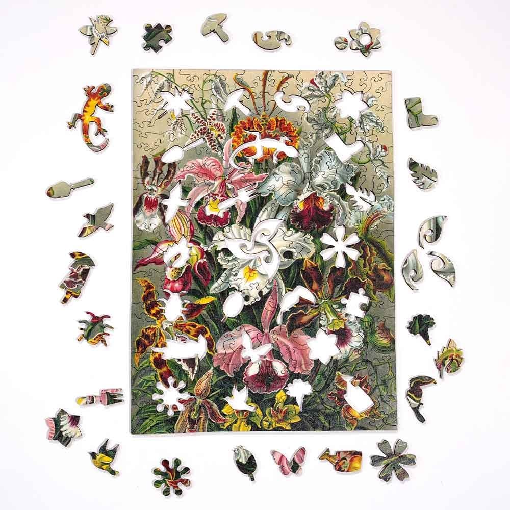 Twigg Puzzles Ernst Haeckel Orchids - 200 Piece