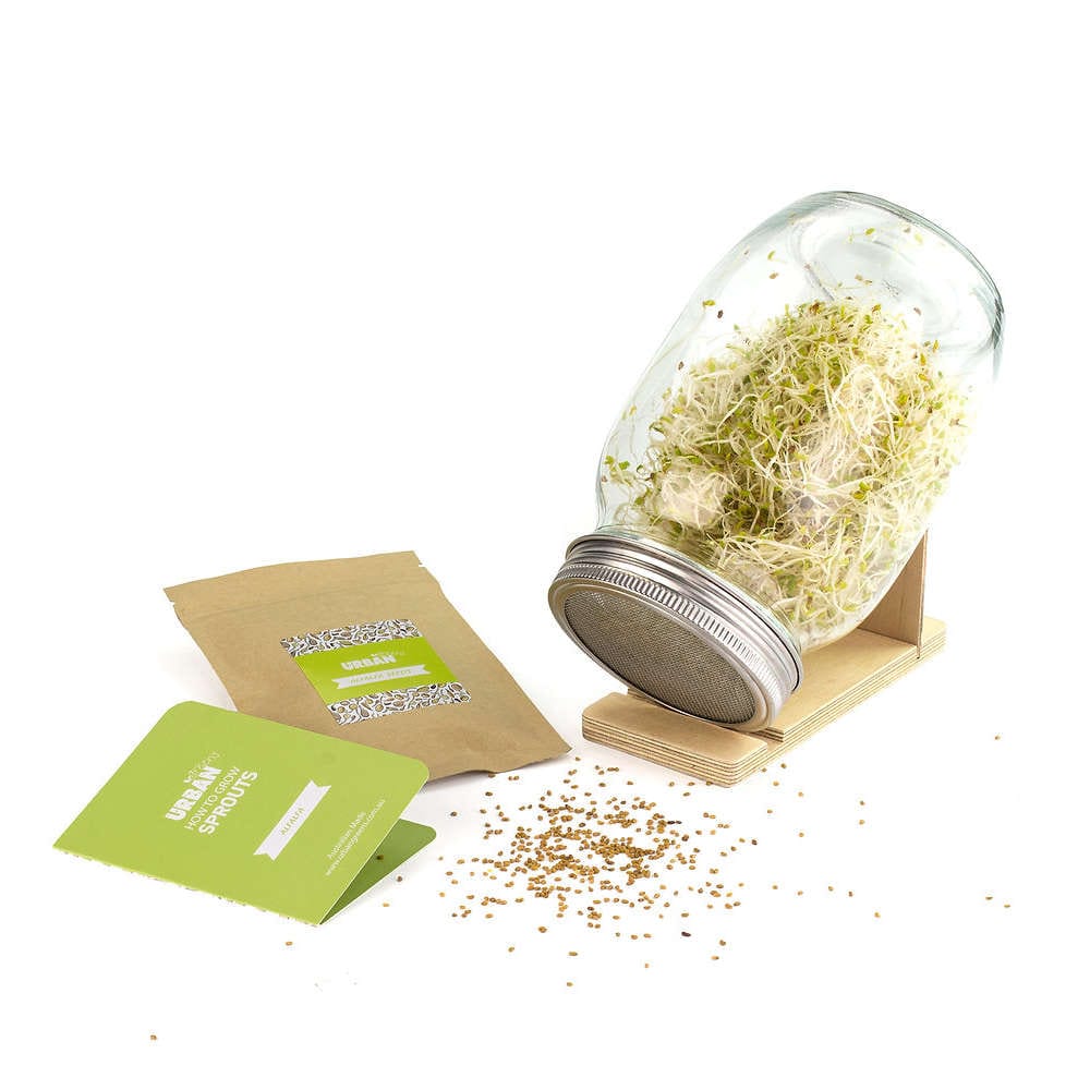 Buy UrbanGreens Sprout Jar Kit Alfalfa Biome New Zealand Online