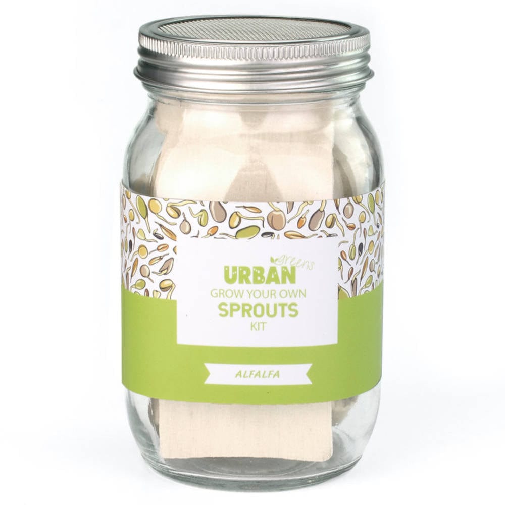 Buy UrbanGreens Sprout Jar Kit Alfalfa Biome New Zealand Online