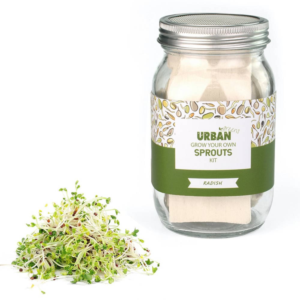 Buy UrbanGreens Sprout Jar Kit Radish Biome New Zealand Online