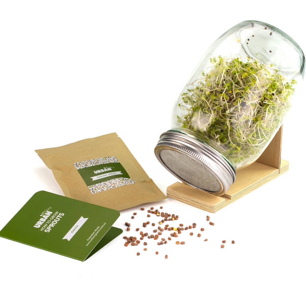 Buy UrbanGreens Sprout Jar Kit Radish Biome New Zealand Online