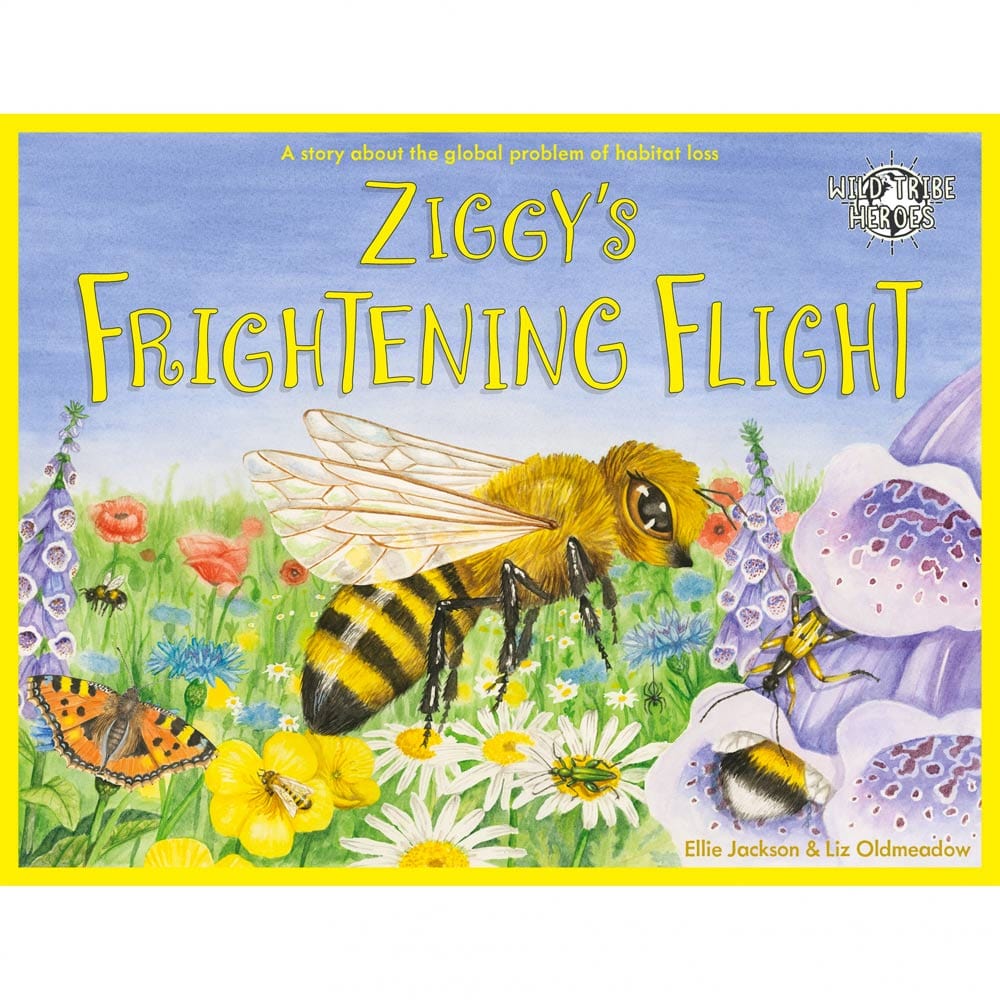 Ziggy's Frightening Flight